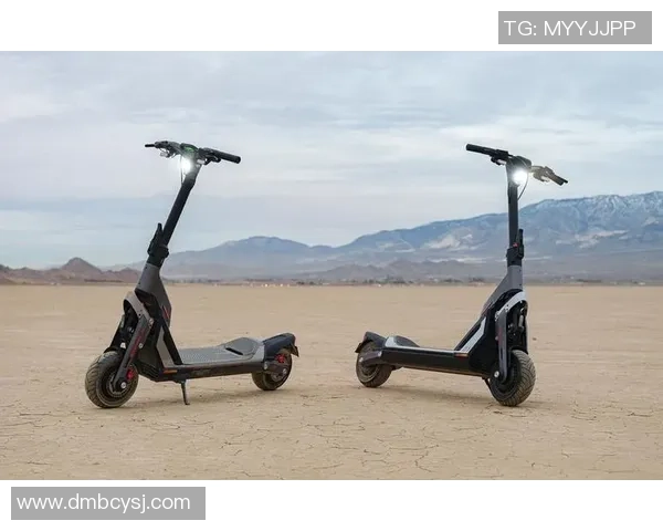 西安滑板队实力强劲荣登全国滑板力量排行榜第九位